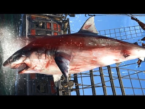 Assassin's Creed Rogue All Harpooning Activities & The White Whale