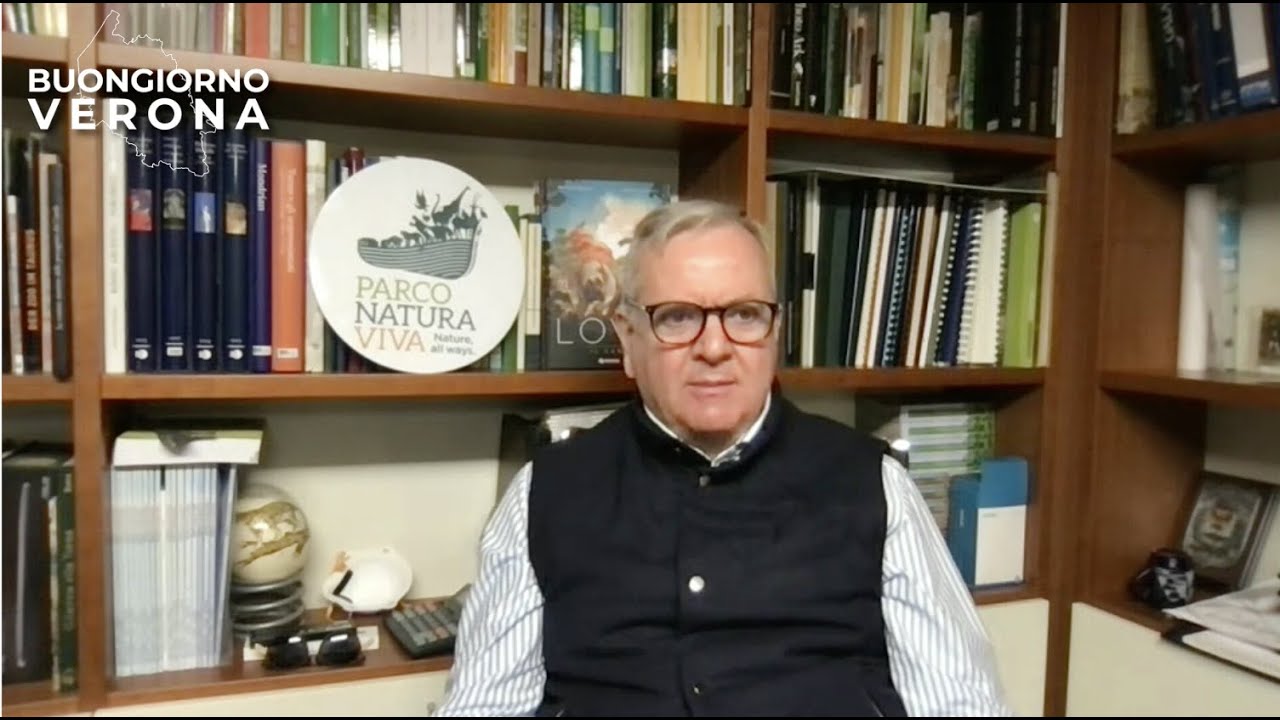 Descrizione dell'immagine