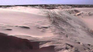 Monahans Sandhills State Park