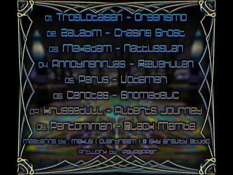 02 Zalabim - Chasing Ghost