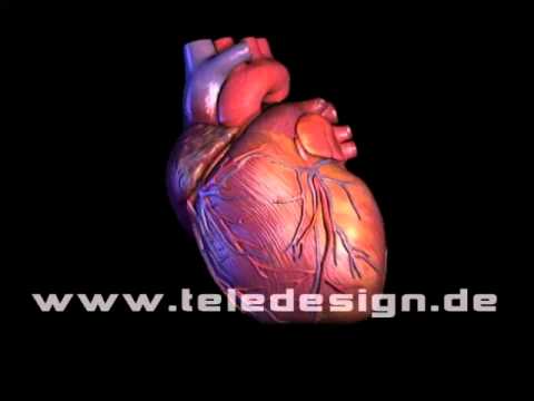 Portale Hypertension, wenn sie unbehandelt bleiben Relevanz von Hypertonie Probleme