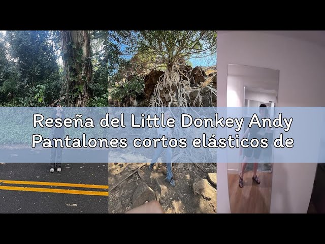 Vídeo relacionado con Little Donkey Andy Hombres Deportes al aire libre Dos Sección Pantalones Montañismo Senderismo Sender, gris, XL