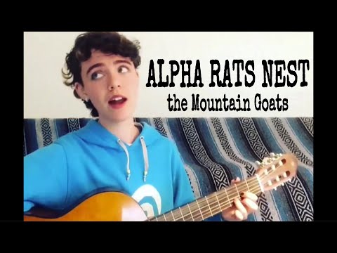 Alpha Rats Nest - The Mountain Goats
