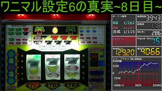 【ワニマル】設定６の真実～8日目～