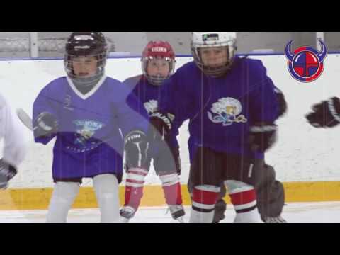 Viikingit esittelyvideo