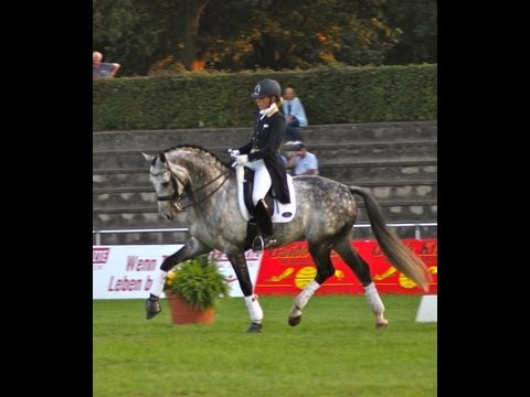 Galliani Biolley@European Stallion show VERDEN 2013  Rider Katrien Verreet