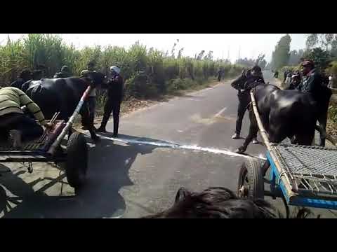 800 MTR kee rase 5:1:2019