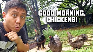 A Relaxing Week With Nature at the Farm House🏡 | Vlog #1753
