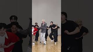 Download lagu HOSHI X WOOZI (SEVENTEEN) - 'STUPID IDIOT' Dance Mirrored mp3