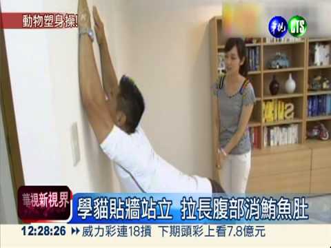 學貓咪.鴿子動一動 還你小蠻腰!