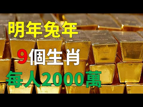 2023兔年天干地支
