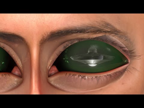 DALPAOS "Palindrome" Menswear Spring 2022 Milan - CNMI