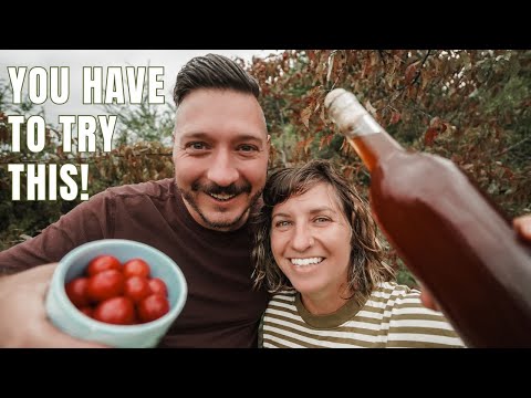 How to Make Homemade Wine From Fresh Fruit  (EASY)