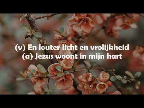 Opwekking met tekst 397 Oooooh Jezus woont in mijn hart (versie 2)
