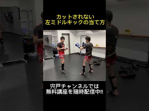左ミドルキックを確実に当てる蹴り方!! ※ハイキックを当てるコツにも繋がります。　#shorts