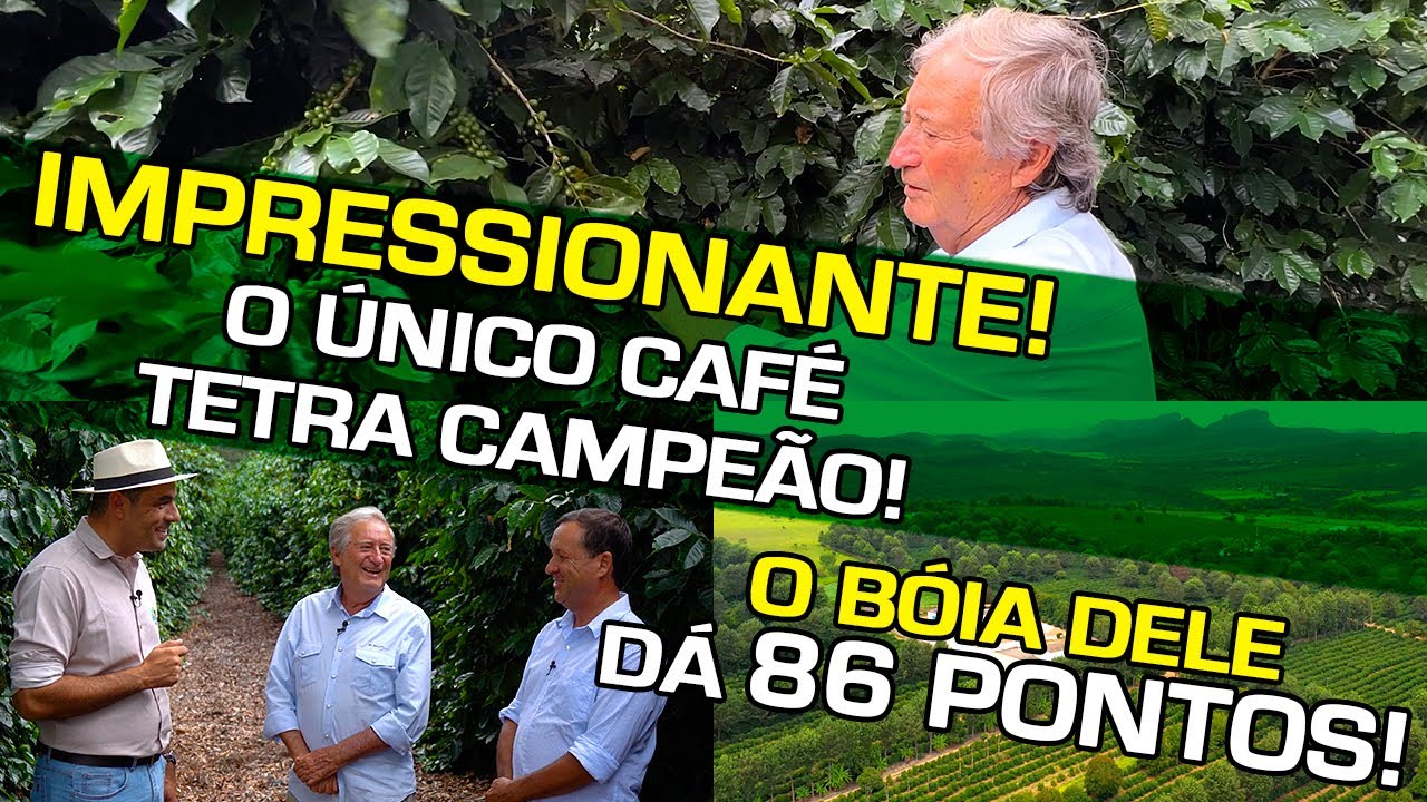 De qual Região Vem o Melhor Café do Brasil? Quais os Segredos Escondidos por trás dessa Qualidade?
