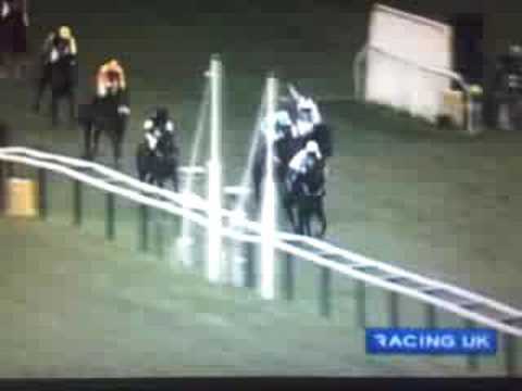blackjack ketchum winning at cheltenham