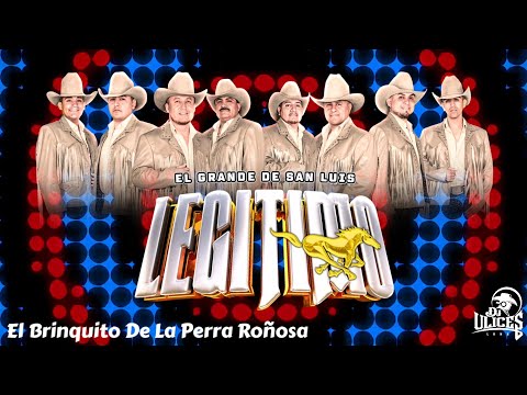 Grupo Legitimo | El Brinquito De La Perra Roñosa (TRIBAL) ♪ [En Vivo 2024]