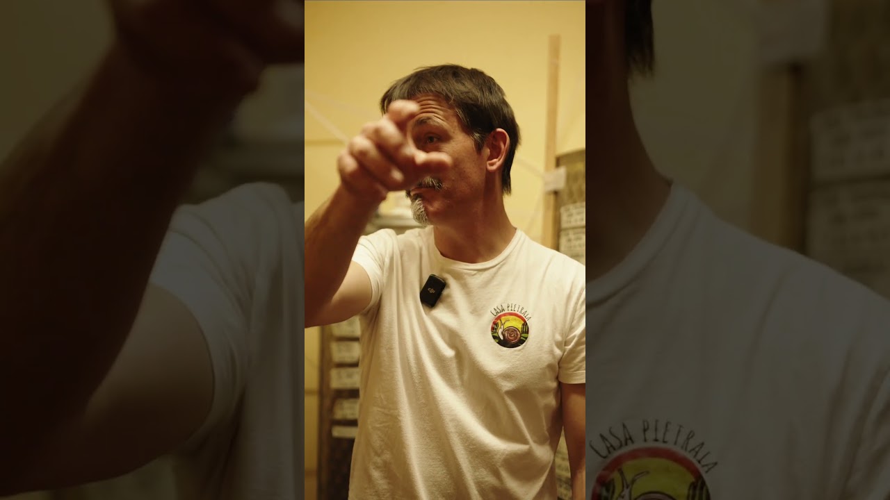 Watch the olive oil experience