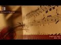 Richard Wagner - Siegfried Idyll, WWV. 103 