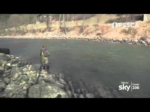 PESCA TV Sky 236 - PASSIONE ARTIFICIALE: MOSCA A FONDO VALLE con Matteo De Falco
