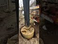 Amazing Water From Borewell Balajiborewelldechu