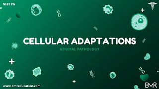 Cellular adaptations | General Pathology 2025 | Types & Mechanisms