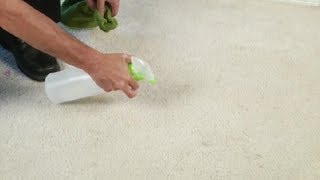 How to Remove Red Pop Stains From Carpet : Carpet Cleaning Tips