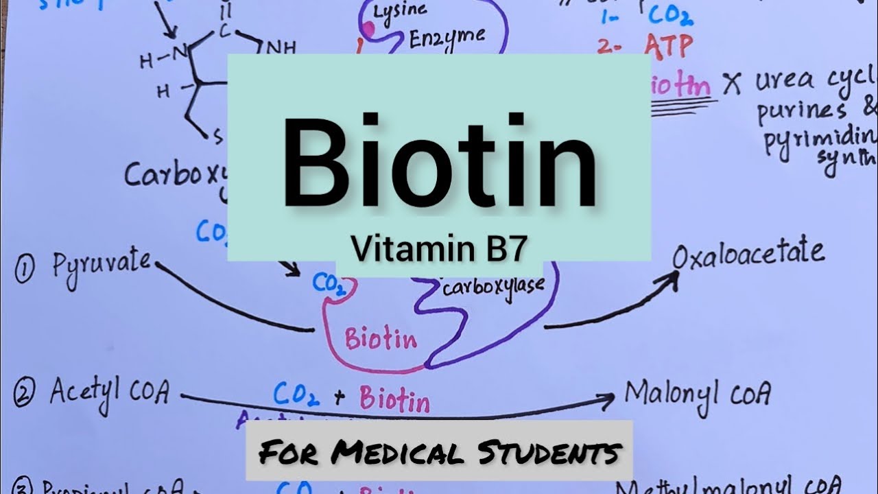 Biotin | Introduction Structure Functions Sources Deficiency Manifestations