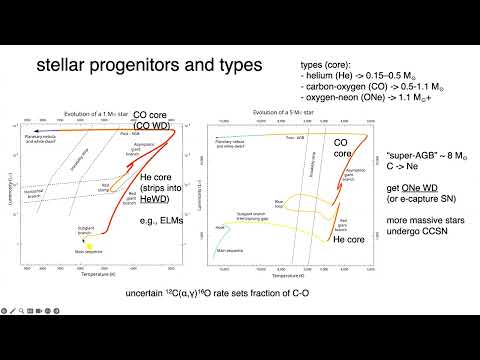 White dwarfs are hot and cool! (Nicholas Rui)