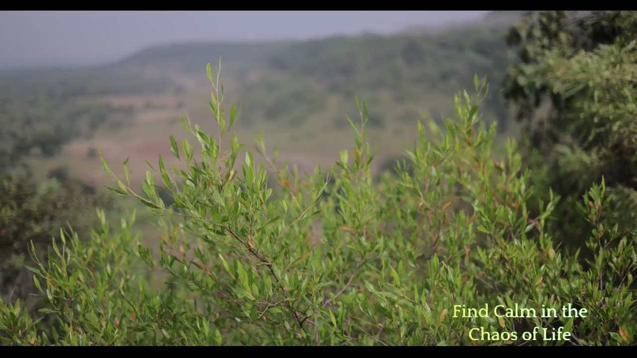 Exploring Hindi Audio Meditation: Benefits and Resources