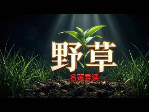 深夜破防！鲁迅《野草》揭开成年人最深的孤独与挣扎🔥名家领读完整版有声书｜认知刷新