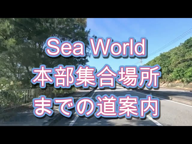 Sea World（シーワールド）