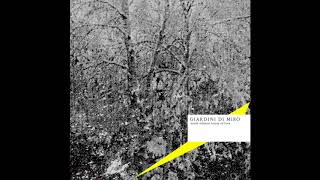 Giardini di Miro - Last Act In Baires (The Sea Remix)