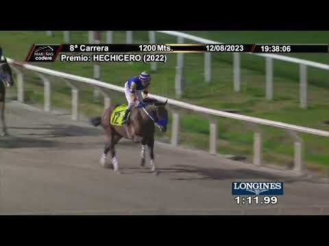 230812 c08 BATTALLADOR