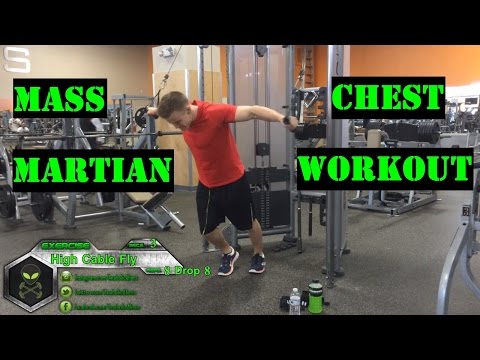 Muscular Strenght Title