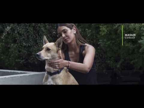 DOGA con Catalina Robayo y Pancho