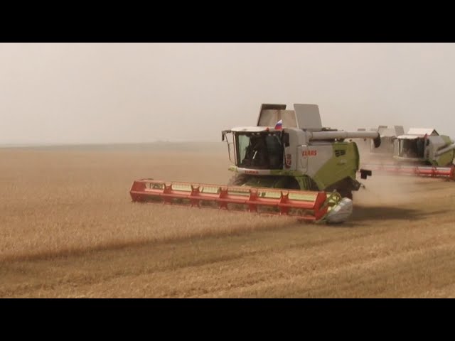 В Иркутской области стартовала уборочная кампания