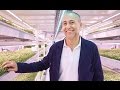 Growing Underground: The World's First Subterranean Farm