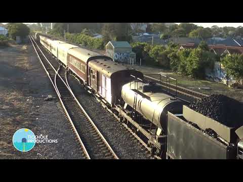 Steam Locomotive 5917 - Waratah - July 2023