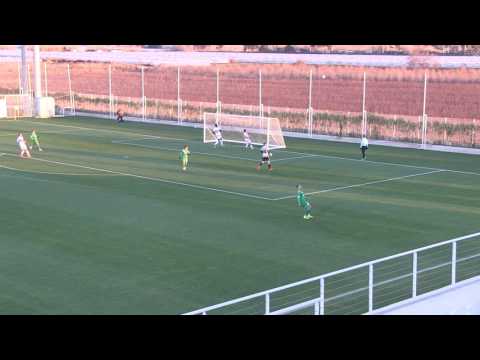 Zostrih z prípravného stretnutia Ludogorec Razgrad - AS Trenčín 1:0 (1:0)