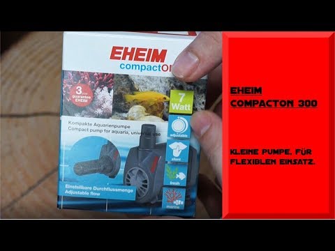 Watch Video on YouTube