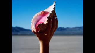 The Killers - Run For Cover (Áudio)