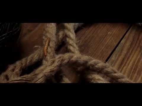 Vita Docet - Sphera & Fax Klein [Teaser]