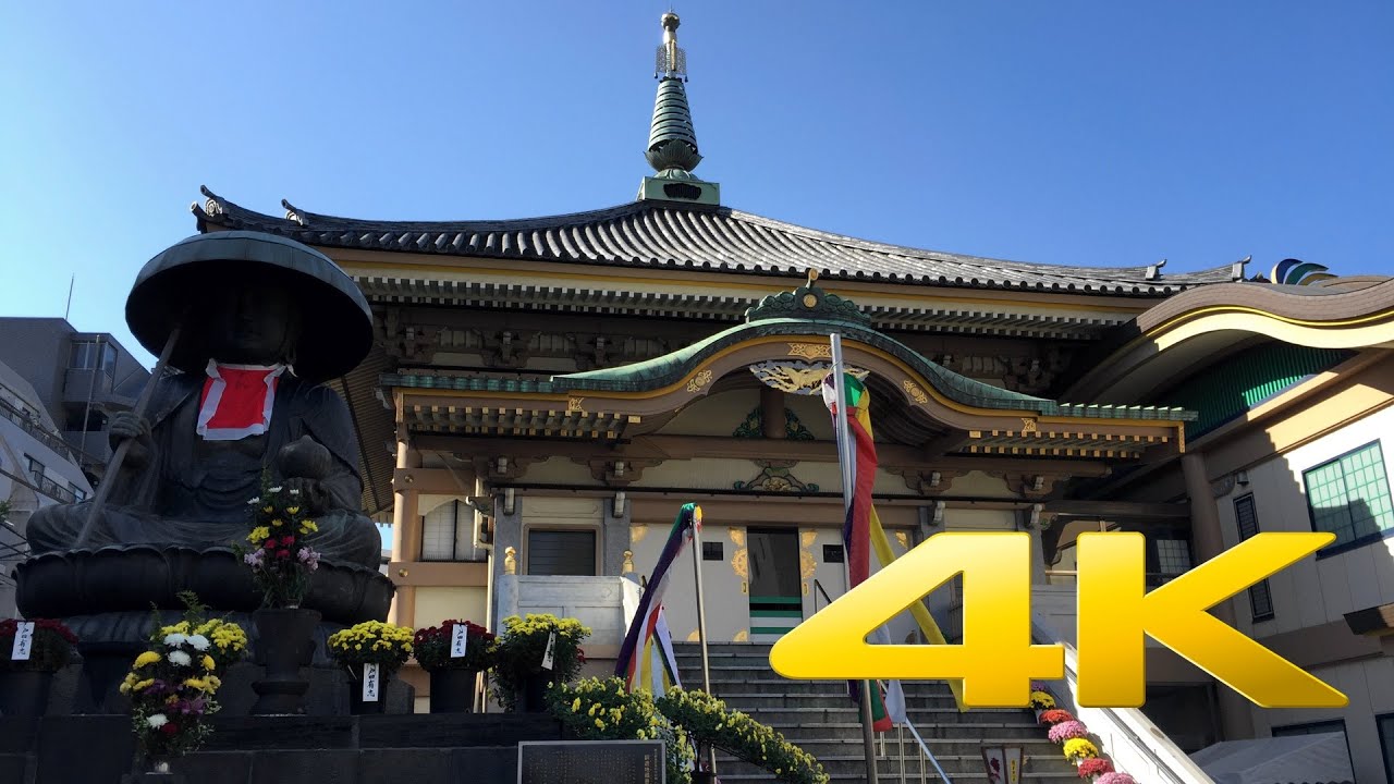 Tokyo Sugamo Kiku (Chrysanthemum) Matsuri