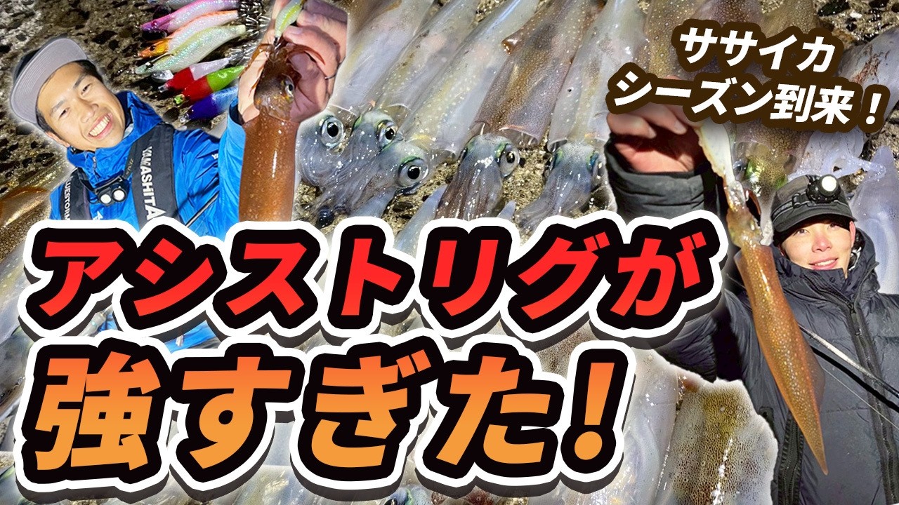 【ササイカ釣り】平戸・生月エリアで爆釣！シーズン開幕のヤリイカ攻略法とおすすめリグ解説【つり具のまるきん釣り情報】