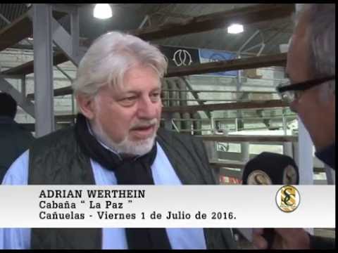 01-07-16 Nota Adrian Werthein - Cabaña La Paz - Cañuelas.