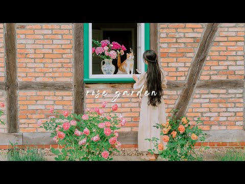 #149 How to grow roses! (Planting, Care, Harvesting, Cooking…)