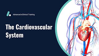 Cardiovascular System - Anatomy & Physiology Review