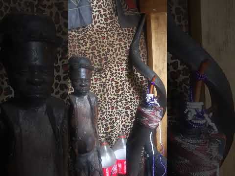 UNGONYAMA UTHI I GWALA ALINGENI KWAKHE